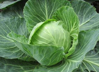 Co może być powodem utraty danych?