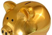 Jakie są opłaty na samozatrudnieniu?