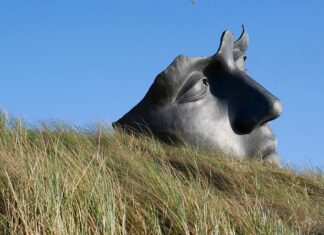 Jak uspokoić krzyczące dziecko? Jak uspokoić krzyczące dziecko?