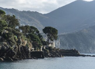 Ile kosztuje licencja zarządcy nieruchomości?