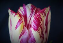 Jak można zapobiec wypadkom?