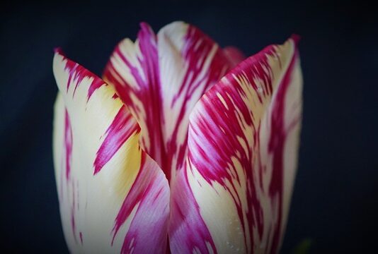 Jak można zapobiec wypadkom? Jak można zapobiec wypadkom?