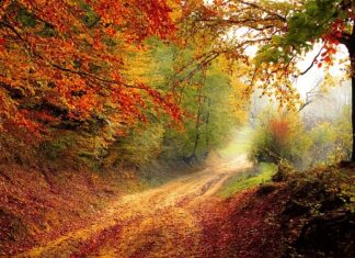 Czym skutkuje spadek PKB?