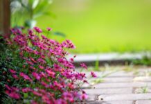 Ile na rękę w lipcu 2023? Ile na rękę w lipcu 2023?