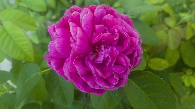 Jak nie płacić ZUS 2023? Jak nie płacić ZUS 2023?